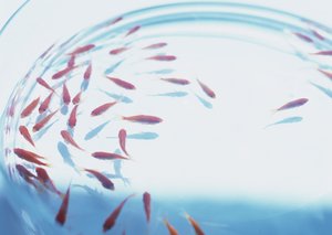 大数据对比评测：数据分析工具集成度